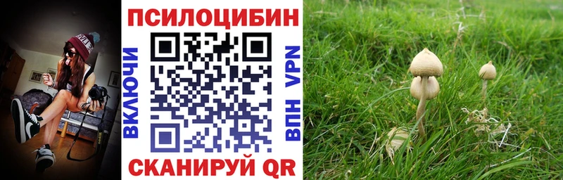 где купить наркотик  Жуковка  Псилоцибиновые грибы ЛСД 