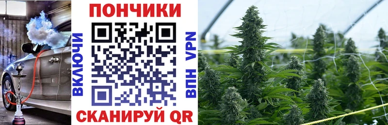 Конопля White Widow  Жуковка 
